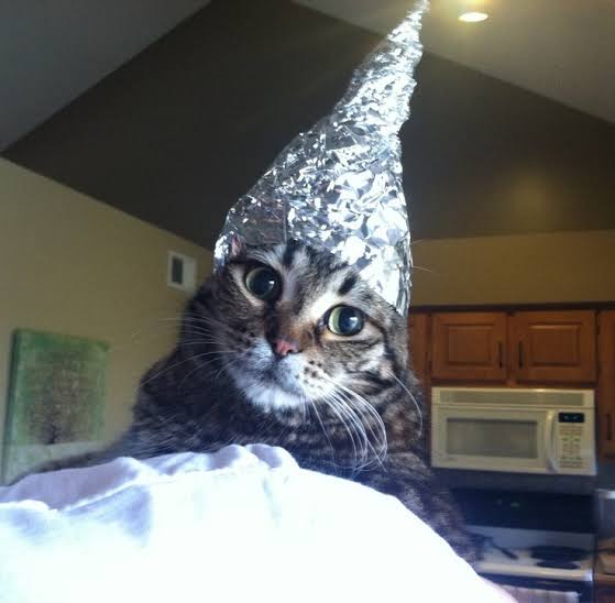 psychic cat